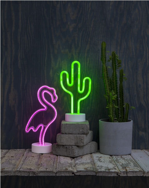Indoor Decoration Neonlight - Cactus (600x600), Png Download