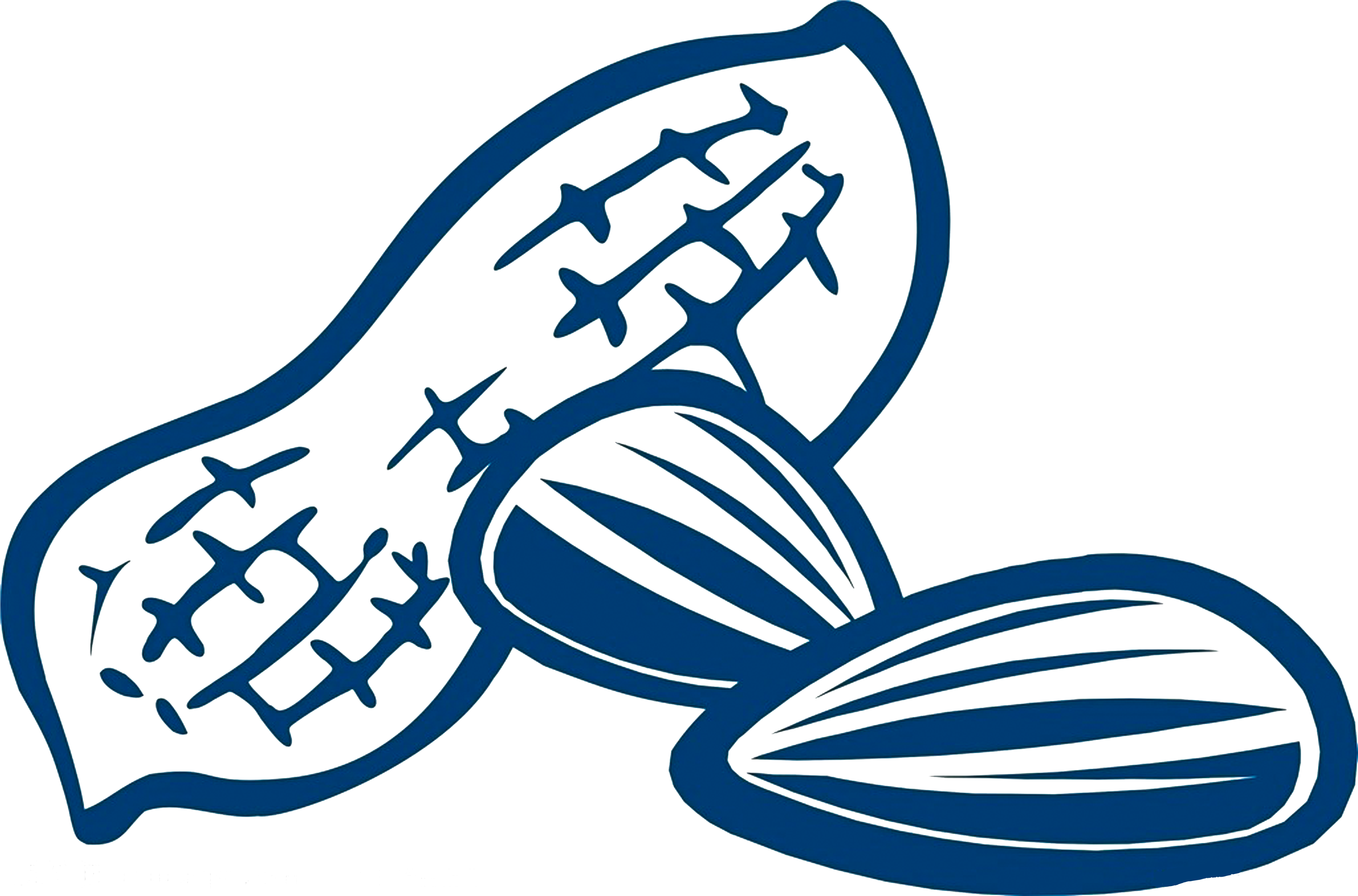 Peanut Kuaci Drawing Snack - Peanut Drawing (5000x5000), Png Download