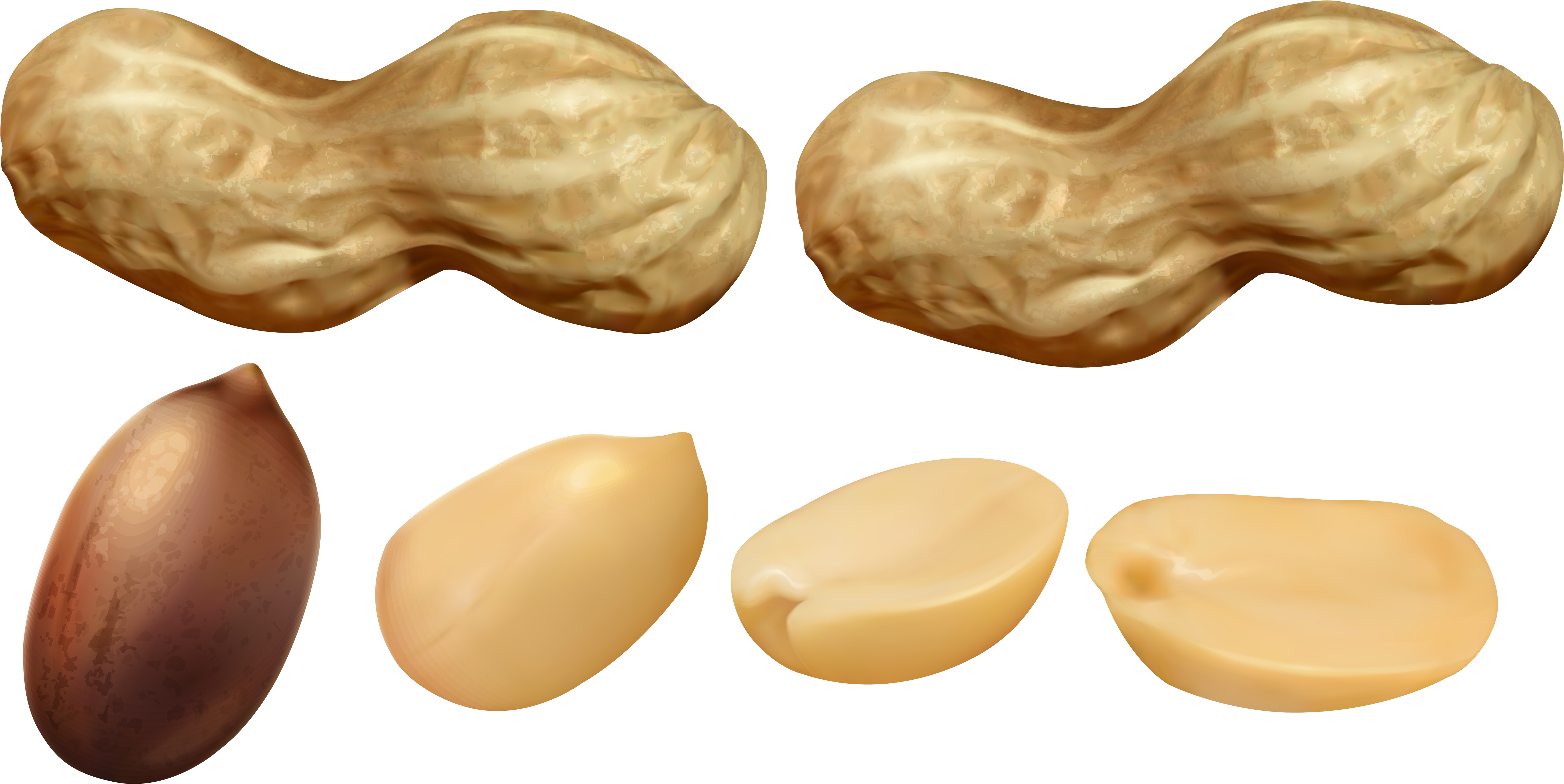 Clip Art (6000x3033), Png Download