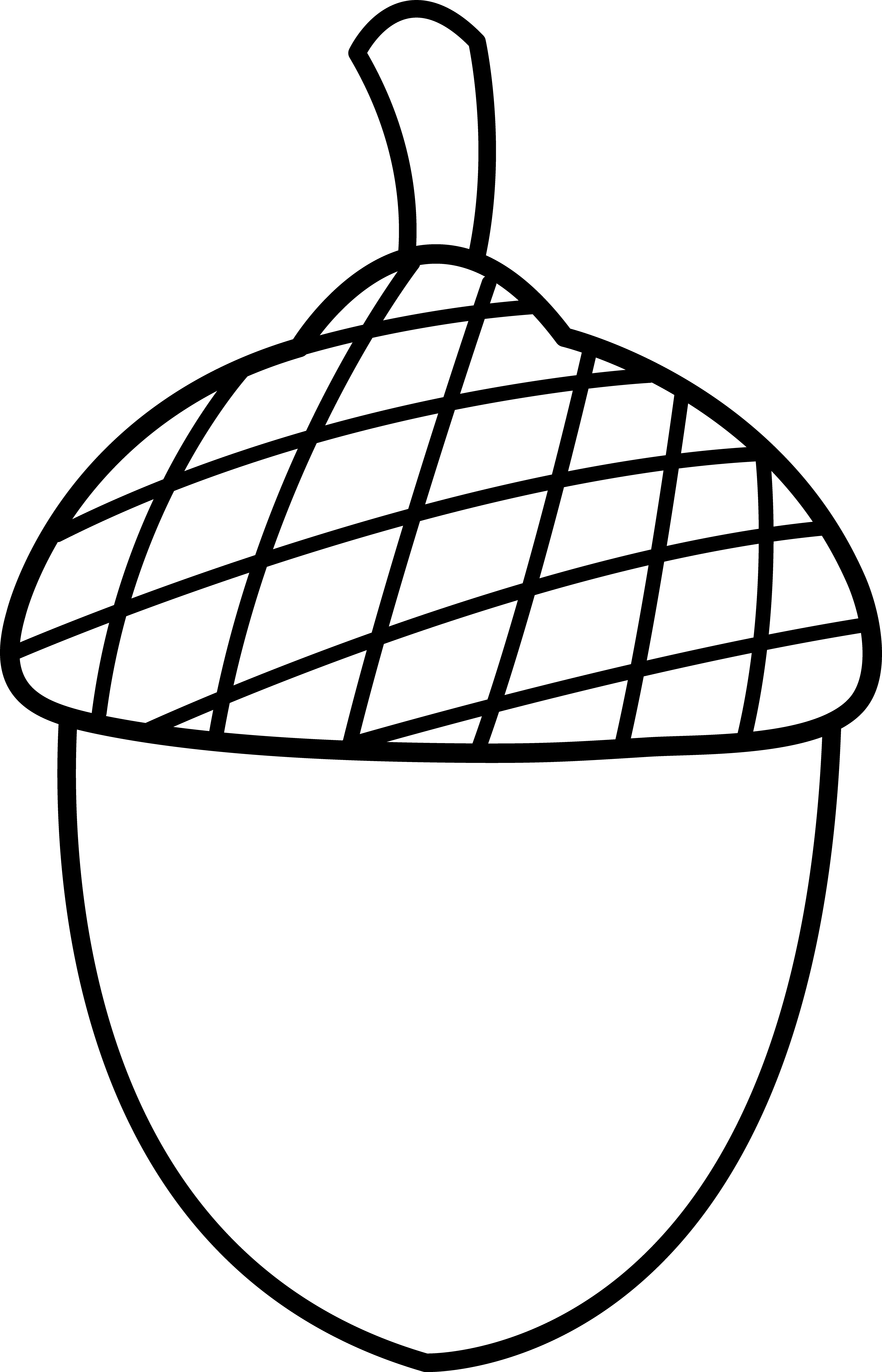 Acorn Line Art - Acorn Clipart Black And White (3963x6165), Png Download