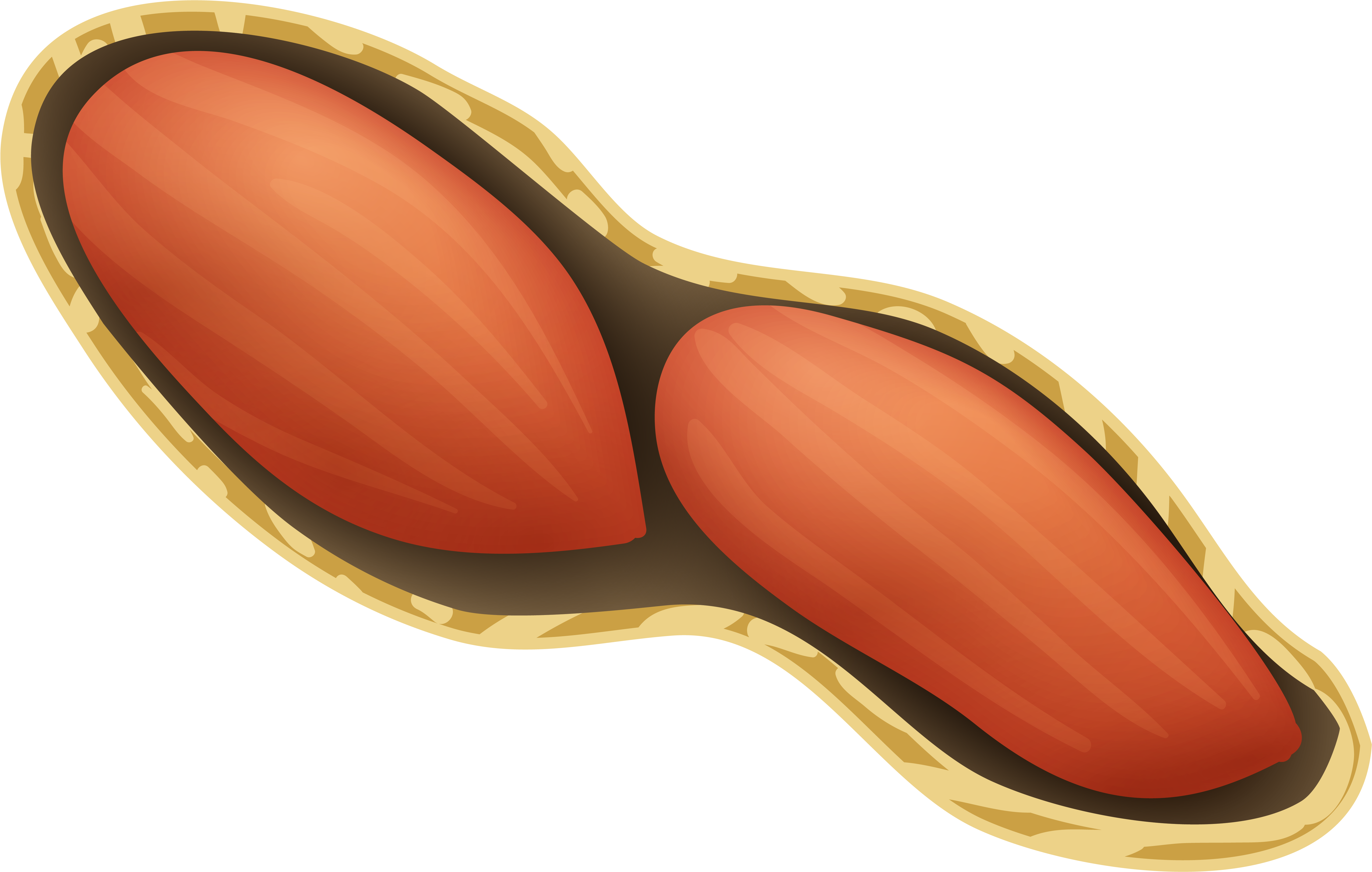 Peanut Png (6145x4111), Png Download