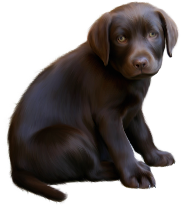 Clipart Download Cute Little With Blue - Brown Dog Transparent (600x684), Png Download