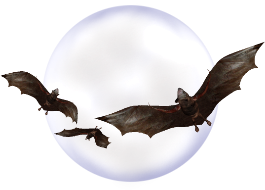 Bat-056 - Nasdaq:orig (537x384), Png Download