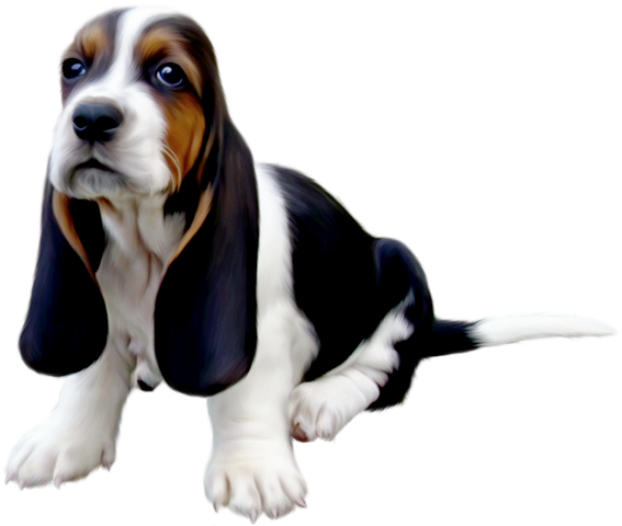 Vous Trouverez De Belles Images Pour Vos Blogs Cute - Basset Hound Dad Throw Blanket (567x480), Png Download