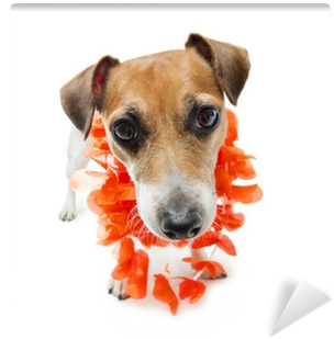 Dog (400x400), Png Download