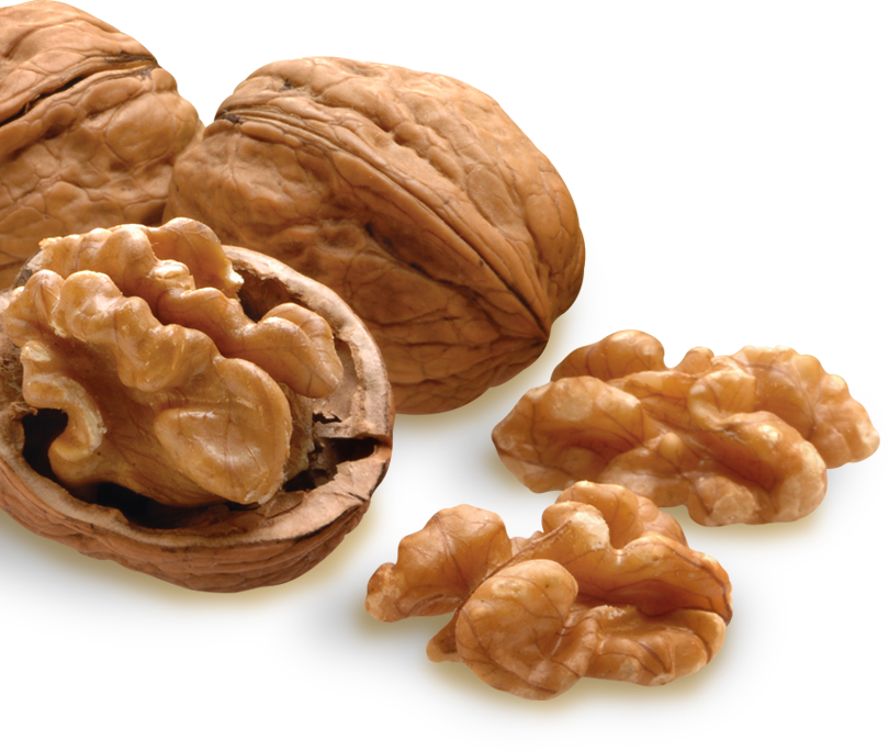 All Nuts Are Not Created Equal - All Nut (810x684), Png Download