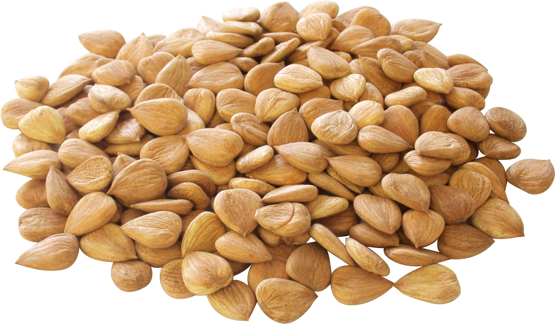 Apricot Kernel Nut Seed Almond Transprent Png - 干果 图片 (1922x1283), Png Download