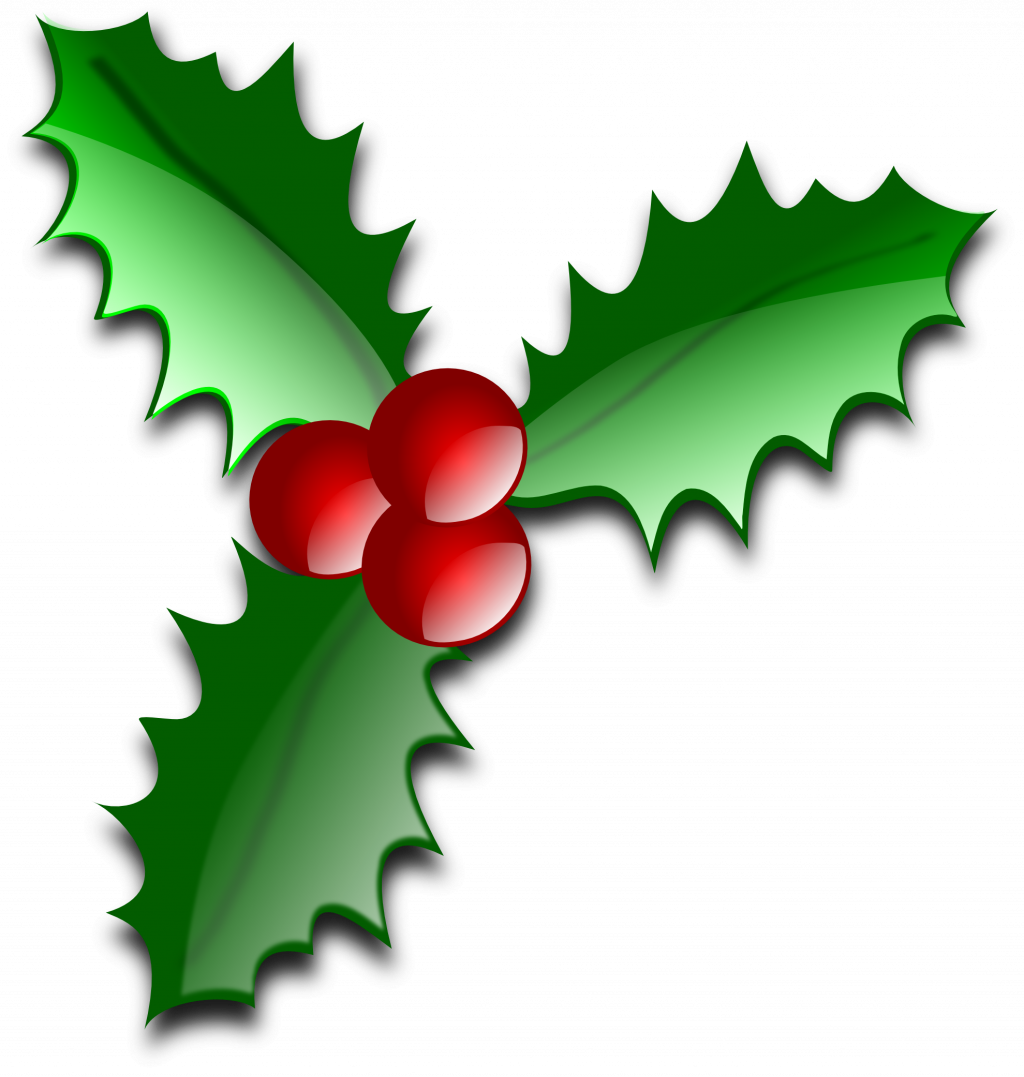 Christmas Lights Clipart Free Download - Leaves Of Christmas Tree (1024x1077), Png Download