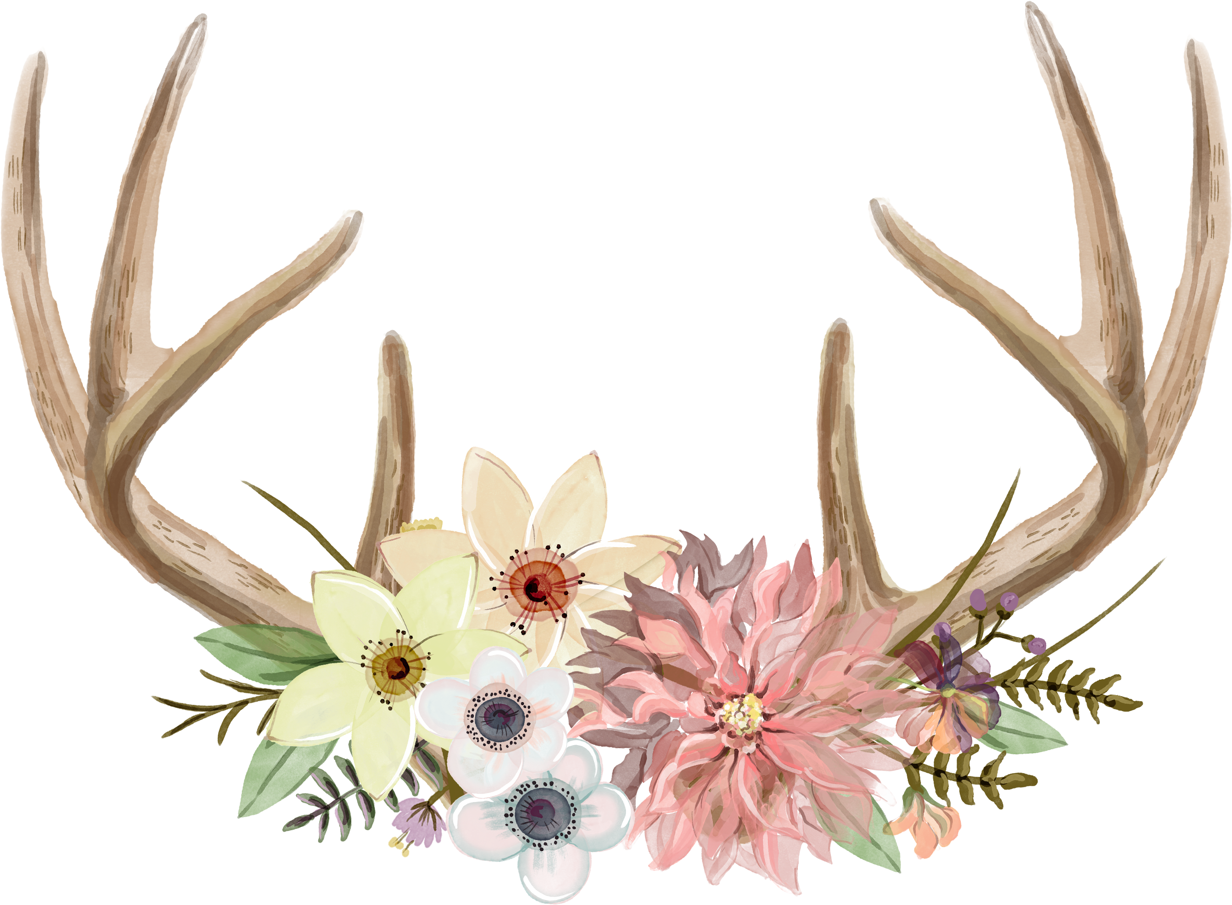 Watercolour - Antler (2902x2257), Png Download