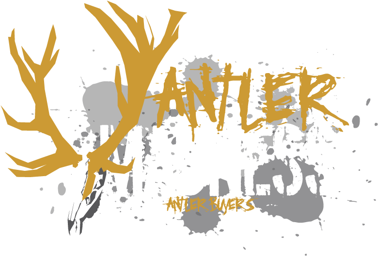 Antler Madness Antler Buyers - Raven Shoes (792x612), Png Download