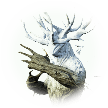 Icon - Bdo Ronaros (360x360), Png Download