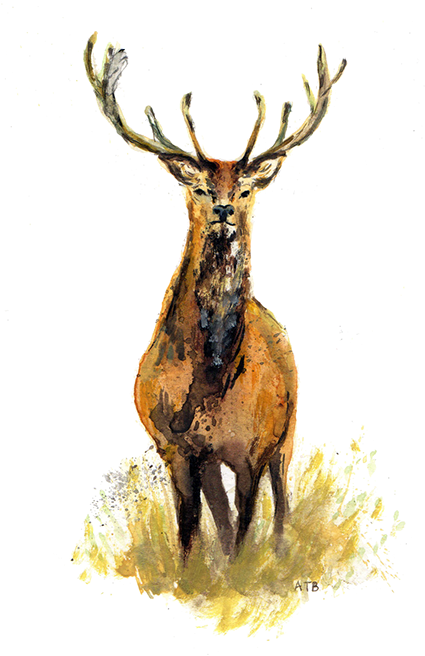 Wedding (424x681), Png Download
