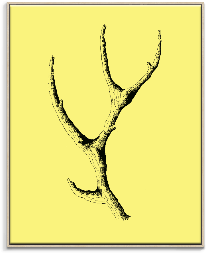 Ayarti Wooden Antler - Artist Lane Wooden Antler By Ayarti Framed Graphic (900x900), Png Download