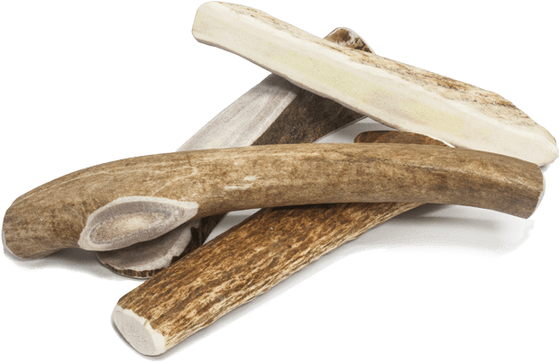 Prairie Dog Pet Products American Sourced Antlers - Driftwood (635x529), Png Download