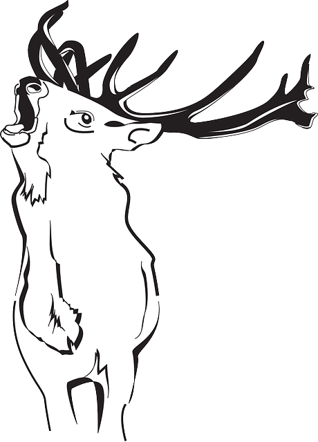 Outline, Deer, Art, Forest, Loud, Animal, Antlers - Deer (460x640), Png Download