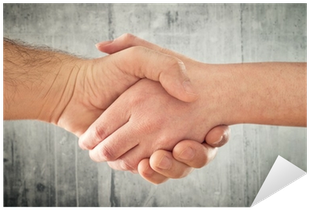 Man And Woman Shaking Hands - Handshake (400x400), Png Download