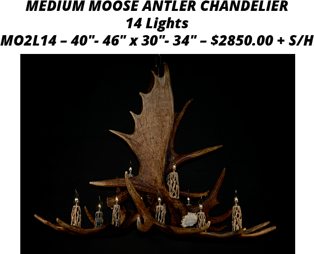 406 295 9041 Call Today - Antlers By Cody (736x542), Png Download