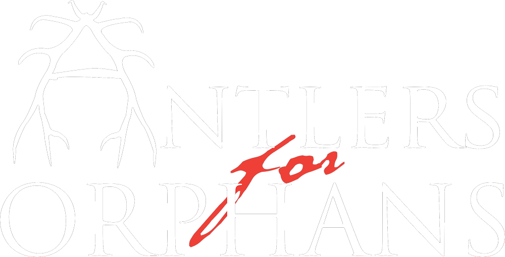 Antlers For Orphans - Hms Victory (1000x510), Png Download