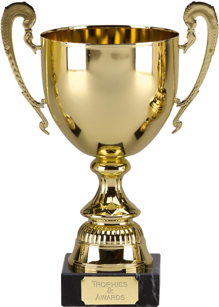 Success In Egham Trophy - Trophy Cup (736x1030), Png Download