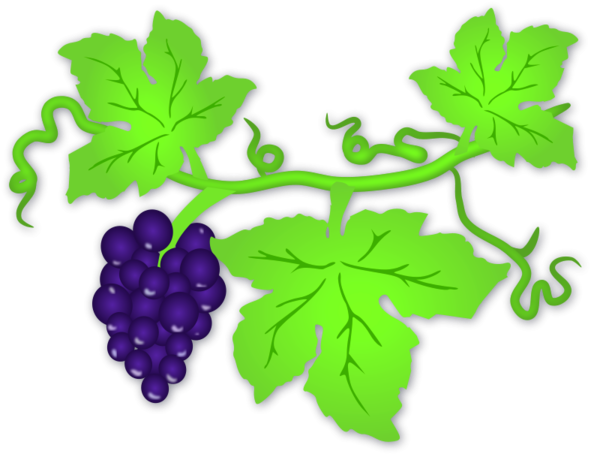 Leaves Of Grapes Clipart (600x461), Png Download