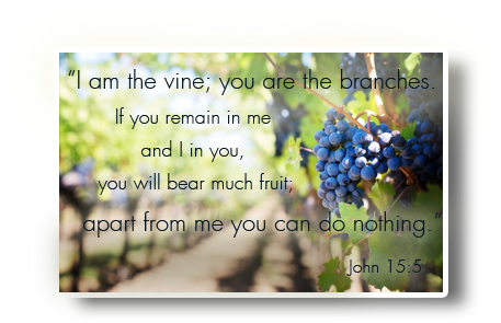 Worship-grapes - Journal Notebook Diary (500x333), Png Download
