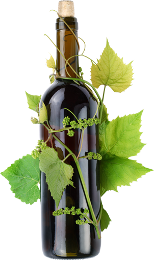 Book Now - Transparent Png Flower Wine (302x507), Png Download