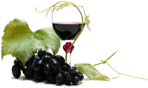 Vino - Berry (536x345), Png Download