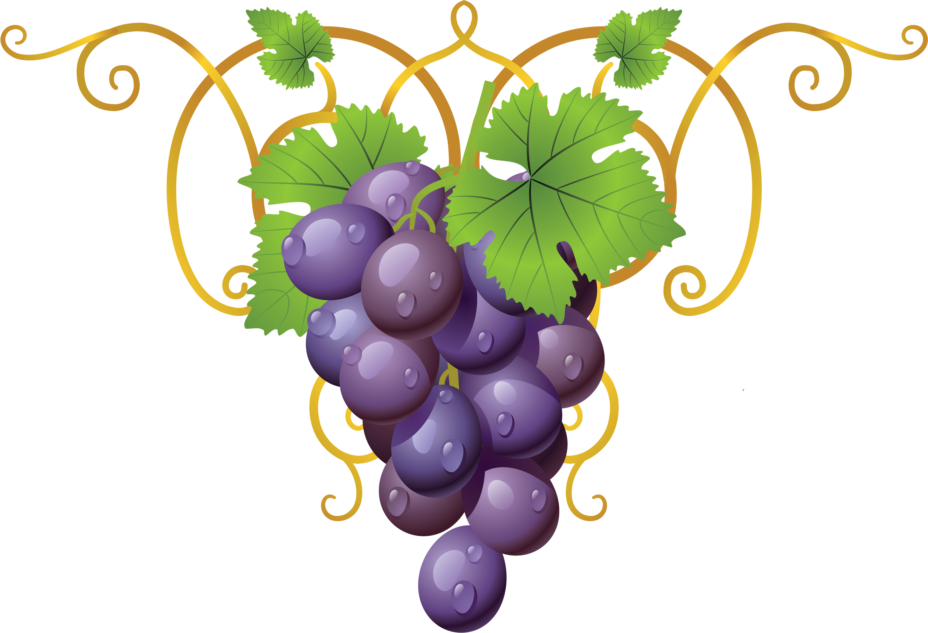 Grapevine Clipart Transparent - Decorative Element Cliparts Png (3277x2412), Png Download