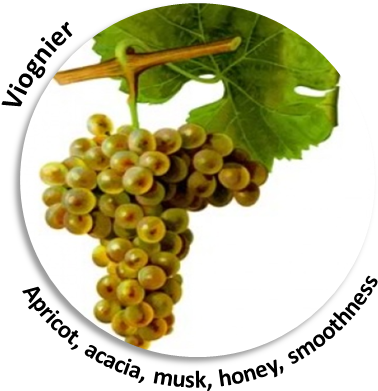 90% Of The Wine-making Process Secrets And Results - Giclee Painting: Troncy's Viognier Grape, 61x46in. (480x480), Png Download