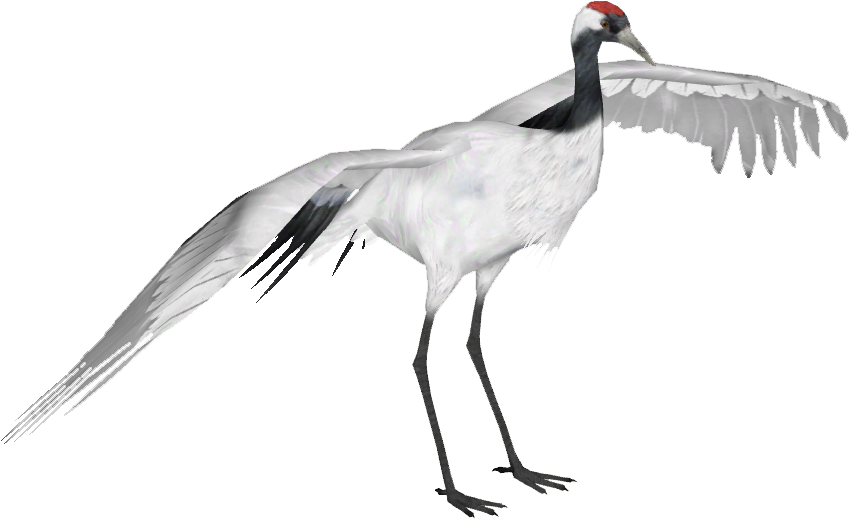 Red Crowned Crane - Red Crowned Crane Png (848x848), Png Download
