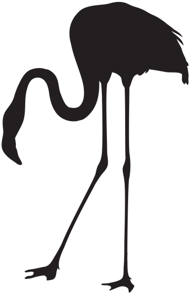 Clipart Download Wallpaper Full Wallpapers Black And - Flamingo Silhouette Png (393x599), Png Download