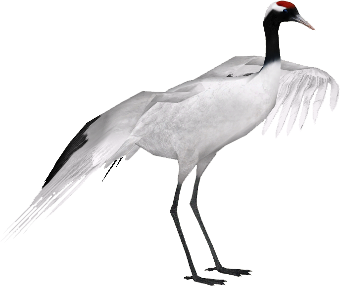 Red-crowned Crane - Red Crowned Crane Png (686x686), Png Download