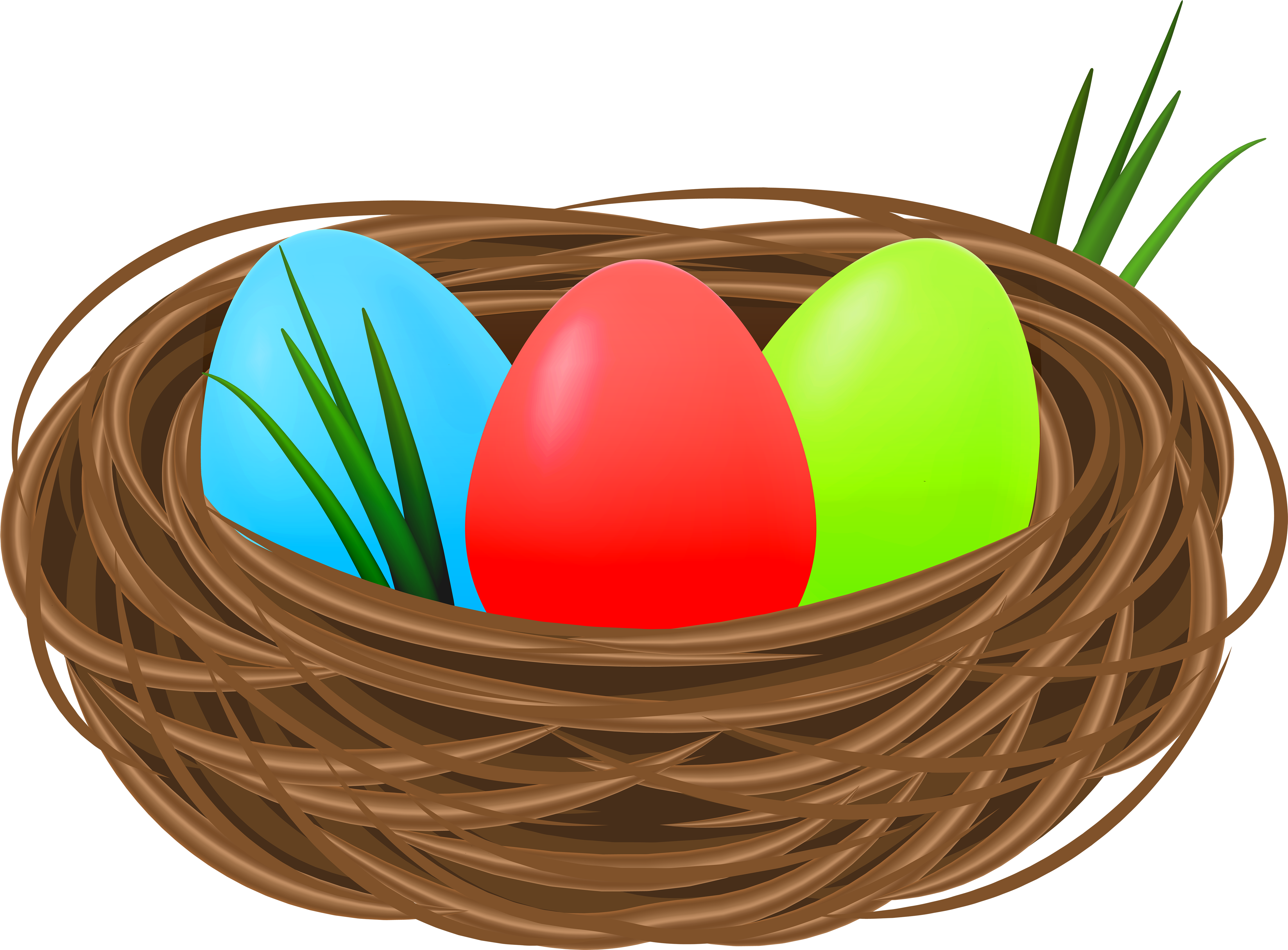 Nest Png (6000x4425), Png Download