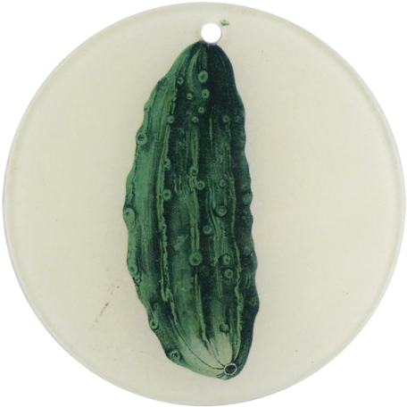 Pickle - San Pedro Cactus (500x500), Png Download
