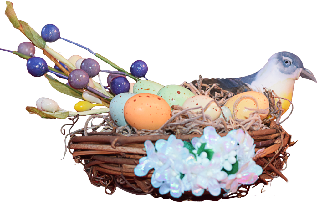 Download Amazing High-quality Latest Png Images Transparent - Bird Nest (1024x666), Png Download