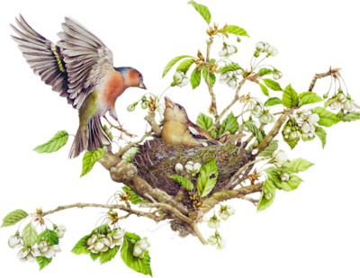 Nest W Colored Pens Paint Brush - Bird Nest In Tree Png (400x309), Png Download