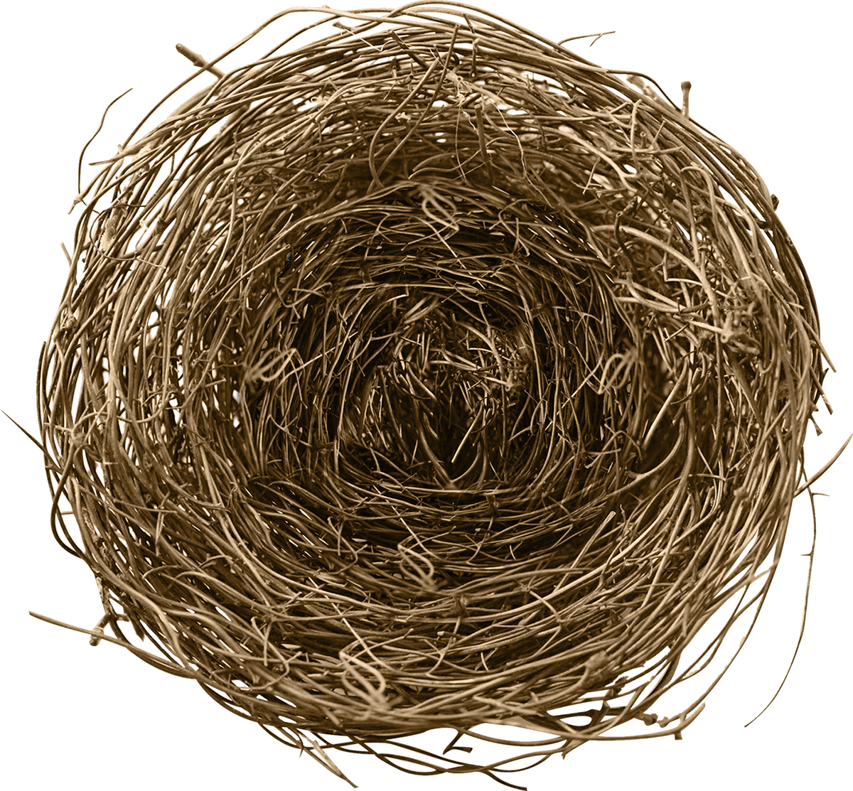 Bird Nest Png - Bird (1200x1113), Png Download