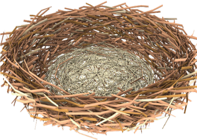 Nest Png Transparent Images - Portable Network Graphics (640x480), Png Download