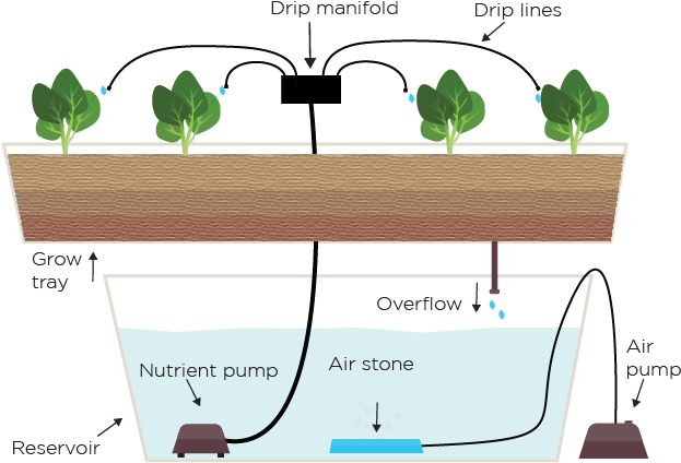 Drip System - Hydroponics (653x441), Png Download