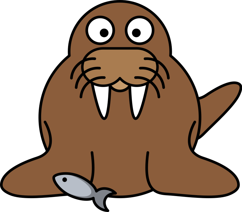 Drawn Walrus Transparent - Walrus Clipart (800x704), Png Download