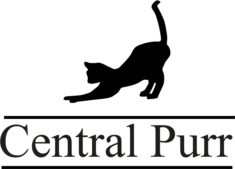 Www - Central-purr - Co - Uk - Sterling Silver Small Roman Numeral Pendant By My 12 (1000x714), Png Download