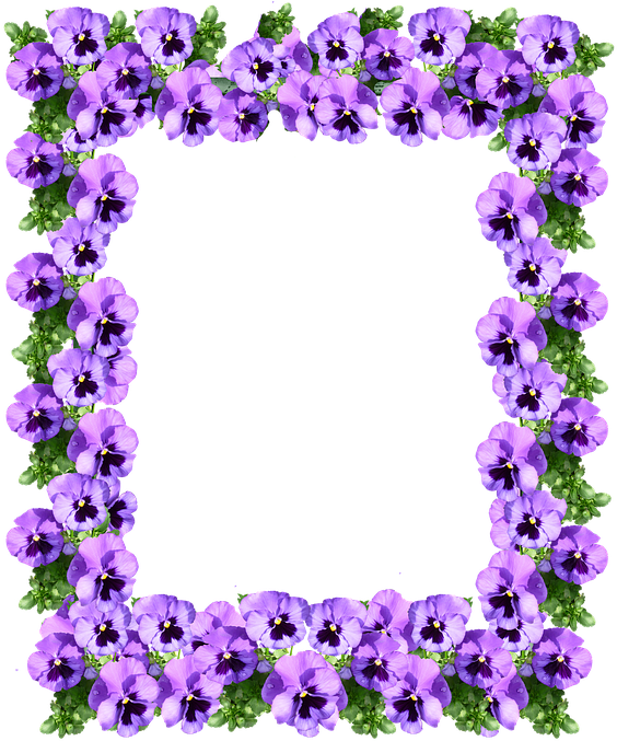 Purple Floral Border Png Pic - Purple Floral Border Png (589x720), Png Download