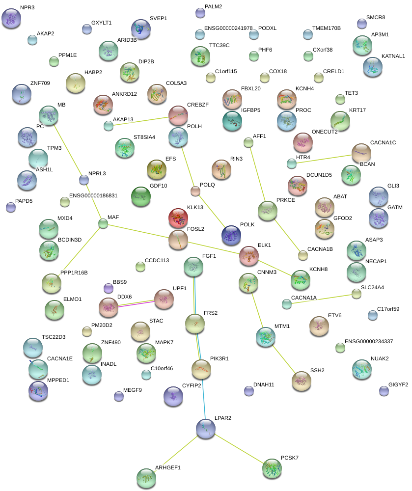Network Of Associatons Between Targets According To (874x1045), Png Download