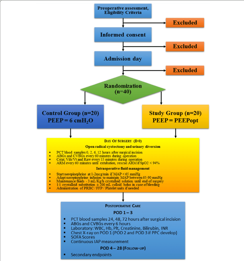 Consolidated Standards Of Reporting Trials Flowchart (850x910), Png Download
