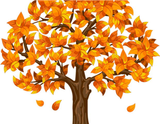 Kindergarten Png (640x480), Png Download