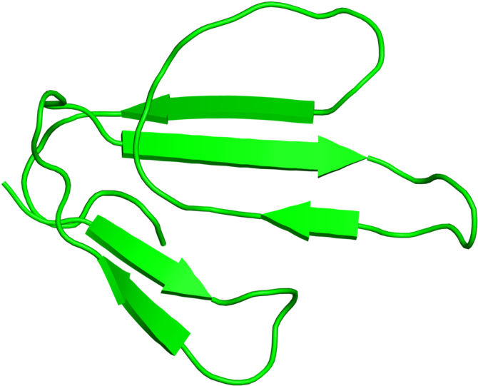 <div Class='caption-body'>1 Copy Of Scop Domain < (800x800), Png Download