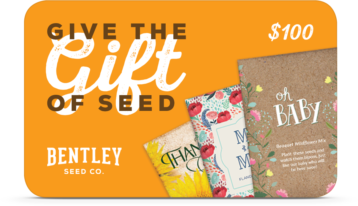 Download 100 Gift Card Full Size PNG Image PNGkit