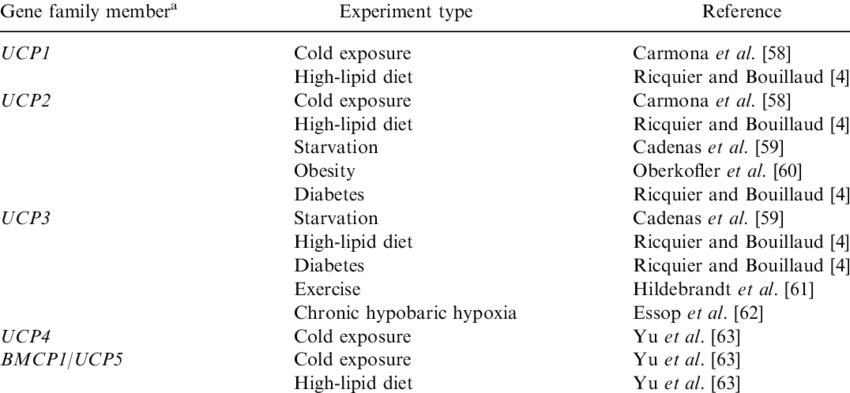 Summary Of The Effects Of Different Conditions On The (850x393), Png Download