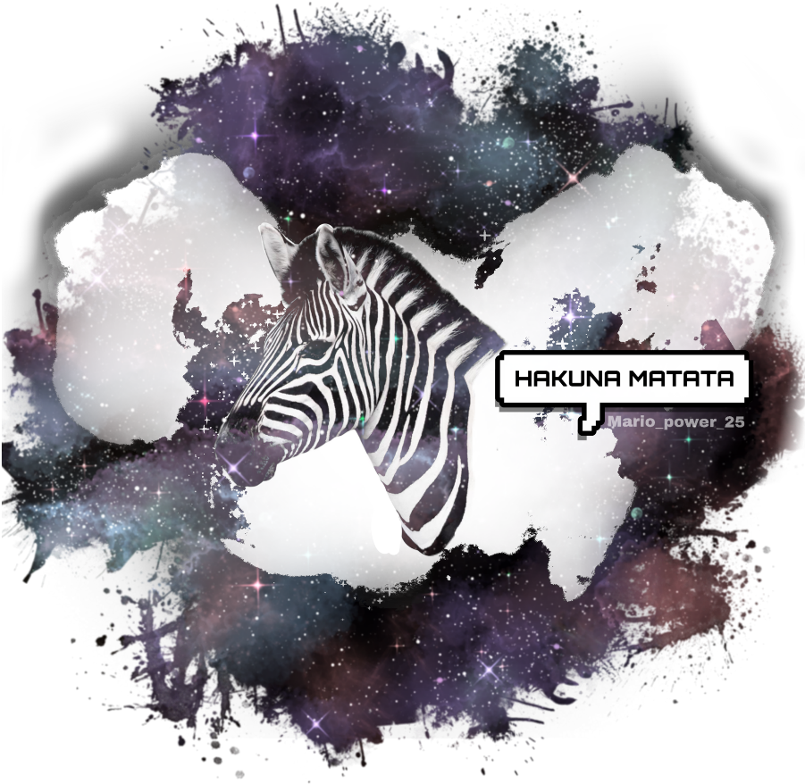 Zebra Hakunamatata Sticker ♥ ♥ (1024x1024), Png Download