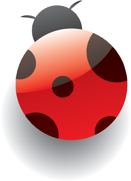 Eb Kidsladybug (720x720), Png Download